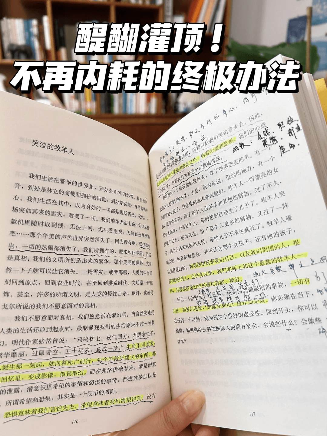 035e3d4a421160629e888051b9db1e38