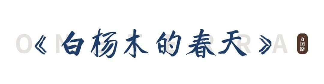 284808450_10_20240613103624158