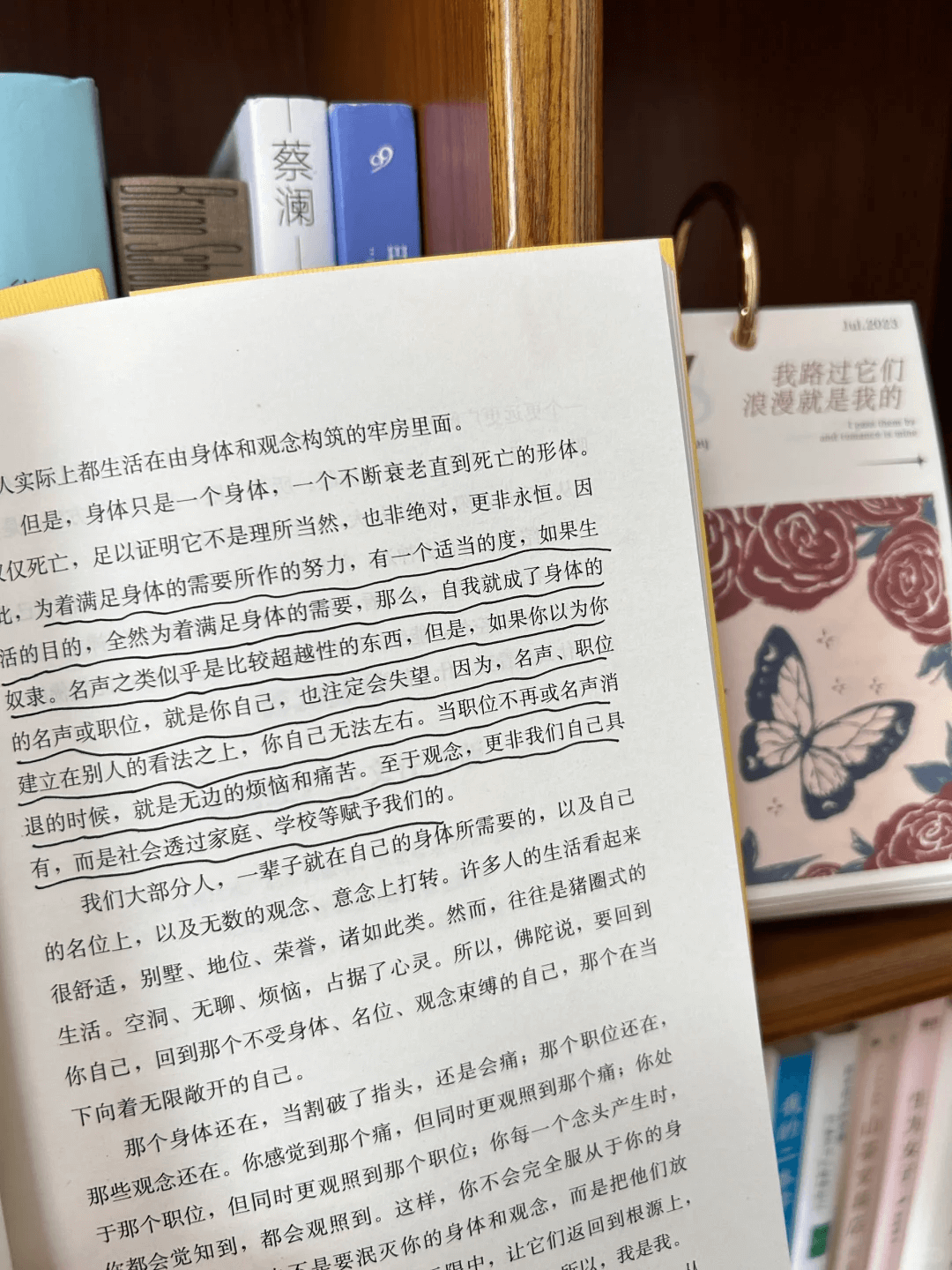 a8ea54afe2e73b67896d14cbf7fb3530