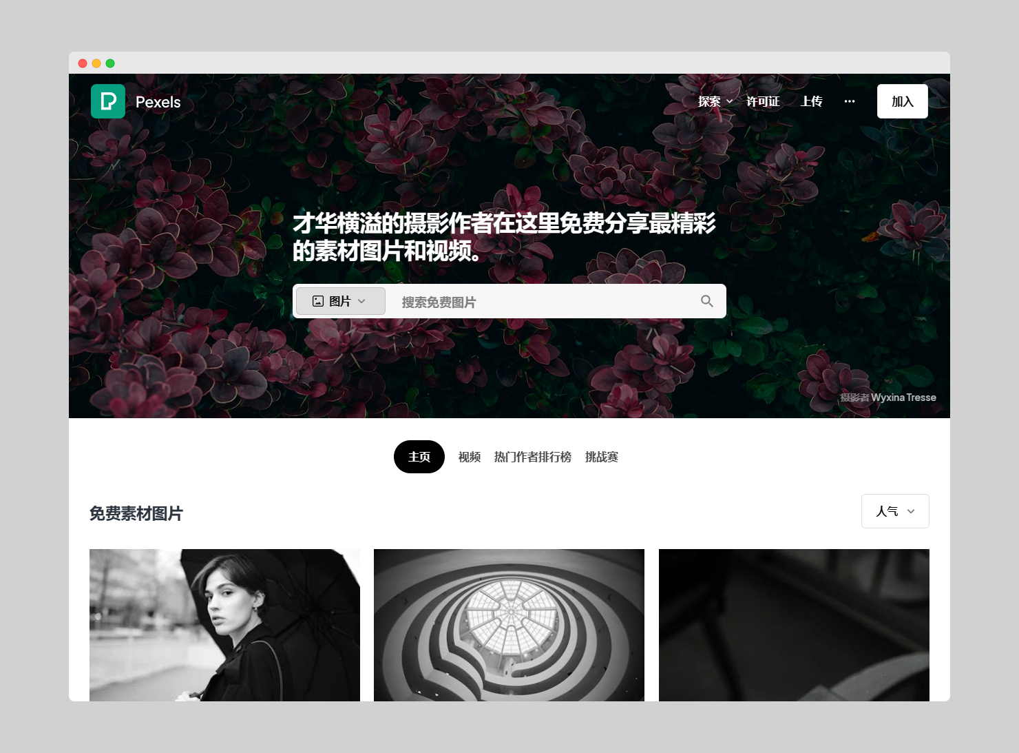 04f4b05f8b9efb058f795e9a14f99c0a Pexels - 提供高清、有创意的免费商用图片、免费商用视频素材的网站
